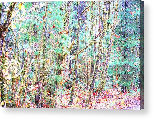 Oregon Acrylic Print featuring the photograph Fall Oregon Forest by Merle Grenz