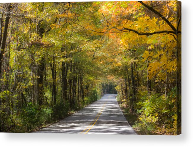 Road Acrylic Print featuring the photograph Fall Road at Oak Mountain by Parker Cunningham
