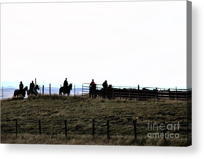 Fall Acrylic Print featuring the photograph Fall roundup by Merle Grenz