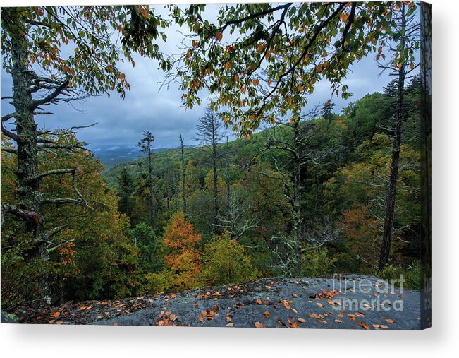 Blue Ridge Parkway Acrylic Print featuring the photograph Fall Splash by Robert Loe