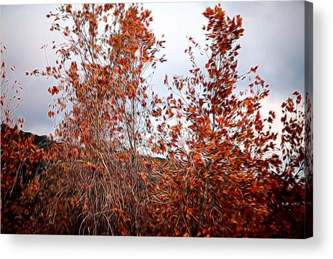 Nature Acrylic Print featuring the photograph Fall Stylozed Red Leaves by Linda Phelps