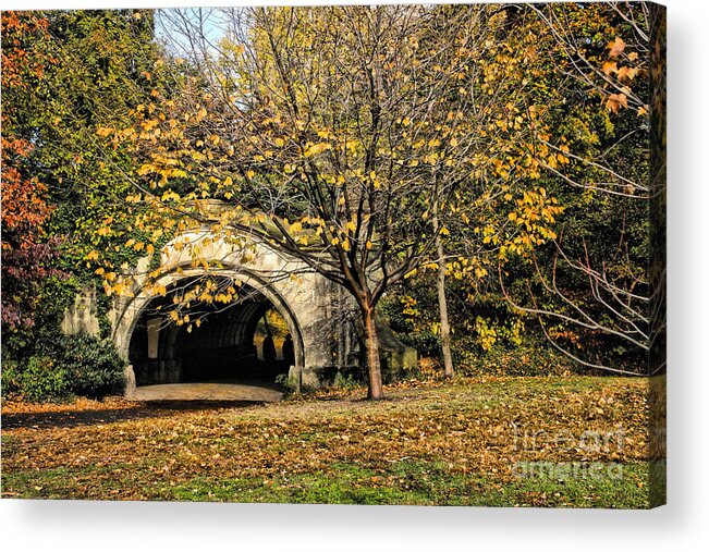 Fall Acrylic Print featuring the photograph Fallen by Onedayoneimage Photography