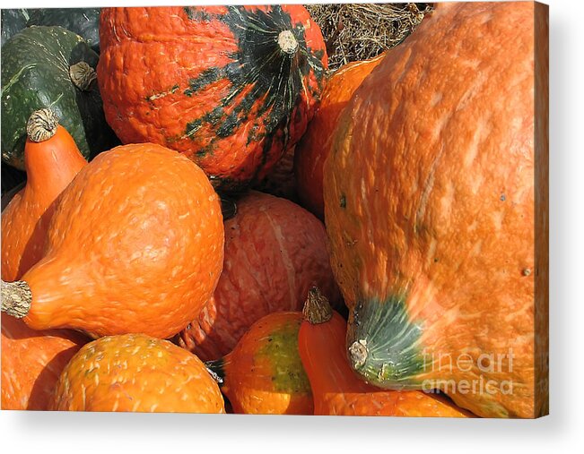 Pumpkin Acrylic Print featuring the photograph FALLing for Orange  by Teresa Zieba