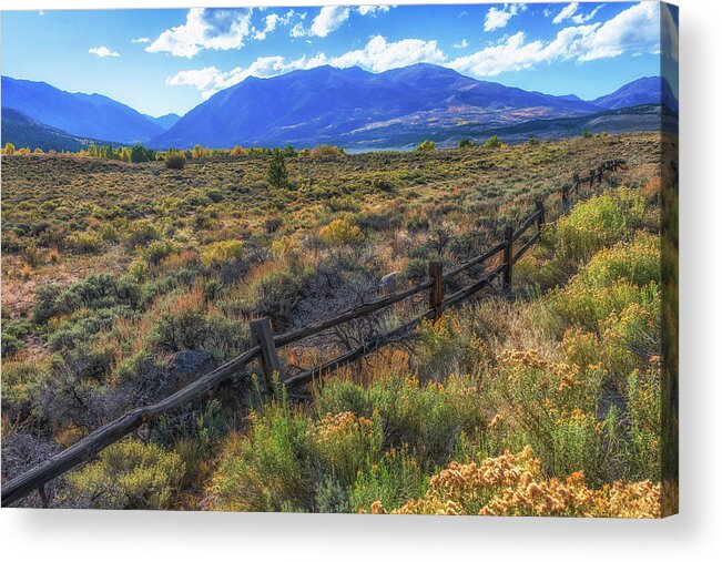 Colorado Acrylic Print featuring the photograph Fall Colors Touch the Colorado High Country by Michael Newberry