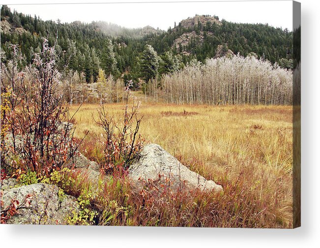 Fall Yellow Weeds Red Oak Frost Fog Pine Trees Rocks Field Trails Mountaion Peak Deer Elk Moose Sheep Acrylic Print featuring the photograph Falls Last Days by James Steele