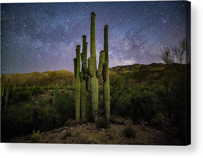 Milky Way Acrylic Print featuring the photograph Family of Saguaros by Christian Garcia