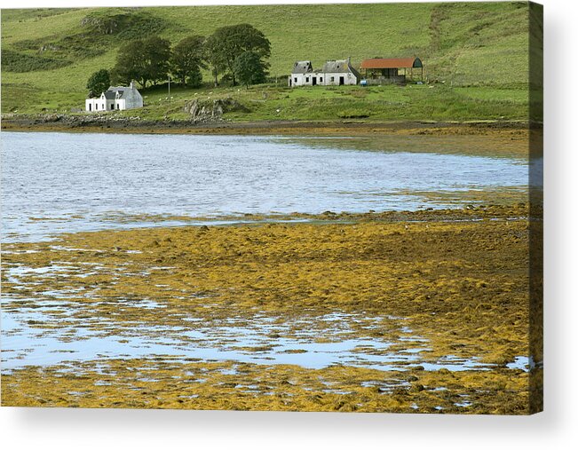 Farm Acrylic Print featuring the photograph Farm in Isle of Skye, UK by Dubi Roman