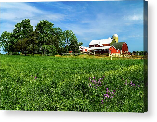 Agriculture Acrylic Print featuring the photograph Farm in Summer by Chuck De La Rosa