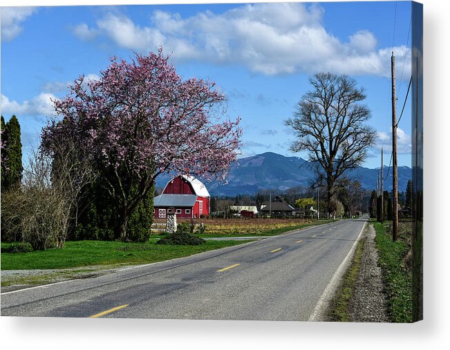 Farm Road In Spring Acrylic Print featuring the photograph Farm Road in Spring by Tom Cochran