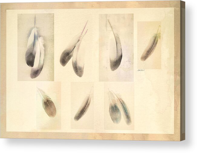 Feather Acrylic Print featuring the digital art Feather Collage by Ann Powell