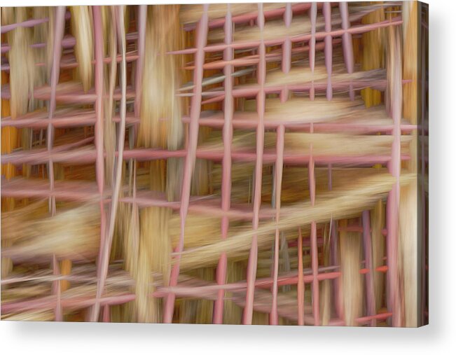 Abstract Acrylic Print featuring the photograph Feathered Fleeings by Deborah Hughes