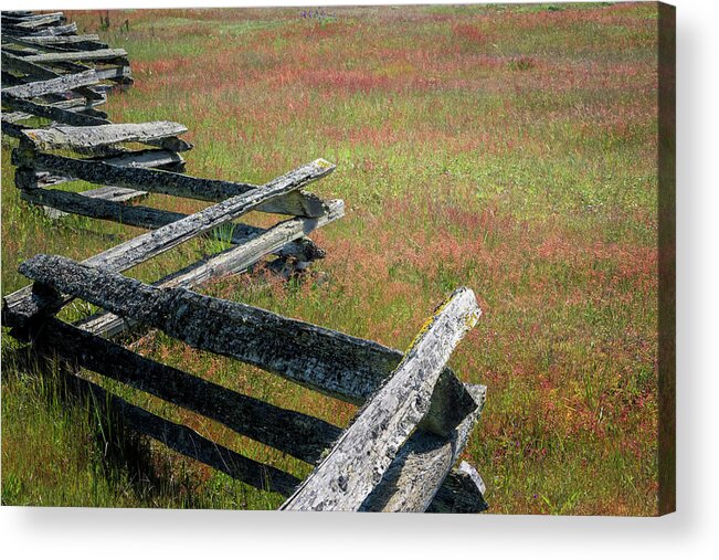 Oregon Coast Acrylic Print featuring the photograph Fence And Field by Tom Singleton