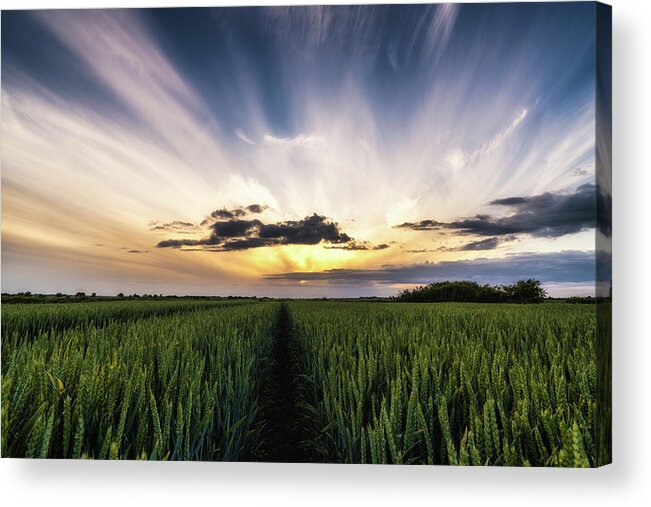 Cloud Acrylic Print featuring the photograph Fenland Sky by James Billings