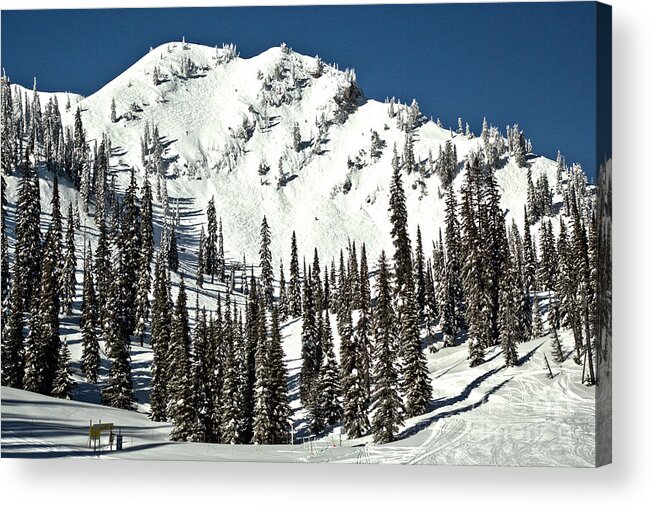 Fernie Acrylic Print featuring the photograph Fernie Skiers Paradise by Adam Jewell