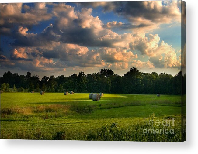 Mississippi Acrylic Print featuring the photograph Field of Grace by T Lowry Wilson