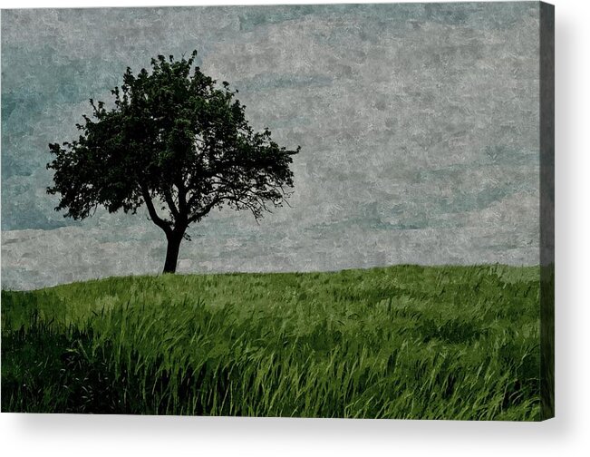 Field Acrylic Print featuring the painting Fields of Green Skies of White by David Dehner