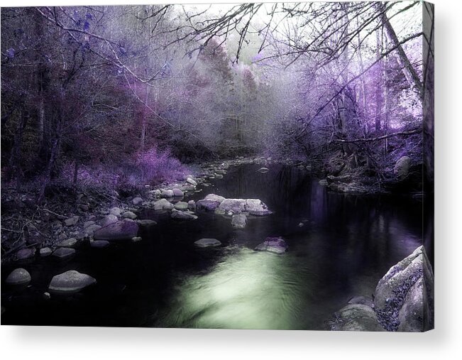 Stream Acrylic Print featuring the photograph Figment by Mike Eingle