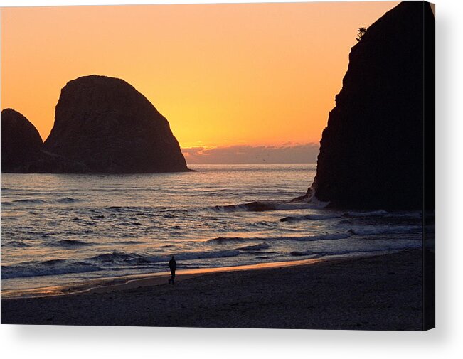 Landscape Acrylic Print featuring the photograph Figure on Seastack by Lynard Stroud