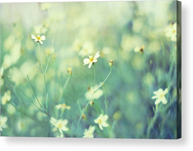 Aqua Wall Art Acrylic Print featuring the photograph First Impression by Amy Tyler