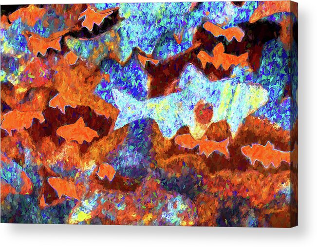 Burlington Vermont Acrylic Print featuring the photograph Fish Abstract by Tom Singleton
