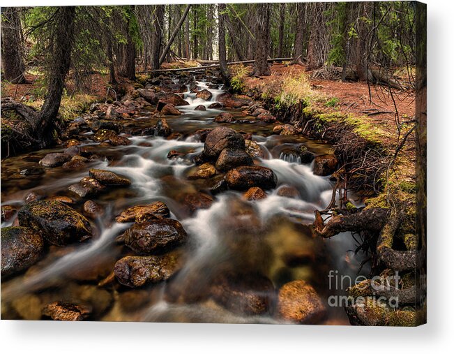 2016 Acrylic Print featuring the photograph Fishhook Creek Waterscape Art by Kaylyn Franks by Kaylyn Franks