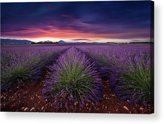 Landscape Acrylic Print featuring the photograph Flame of doubt by Jorge Maia