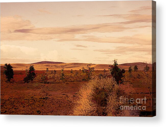 Morocco Acrylic Print featuring the photograph Flat Land Scenic Morocco View from Train Window by Chuck Kuhn