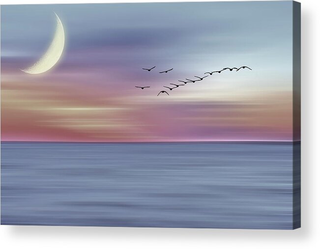 Abstract Acrylic Print featuring the photograph Flight 3 by Cathy Kovarik