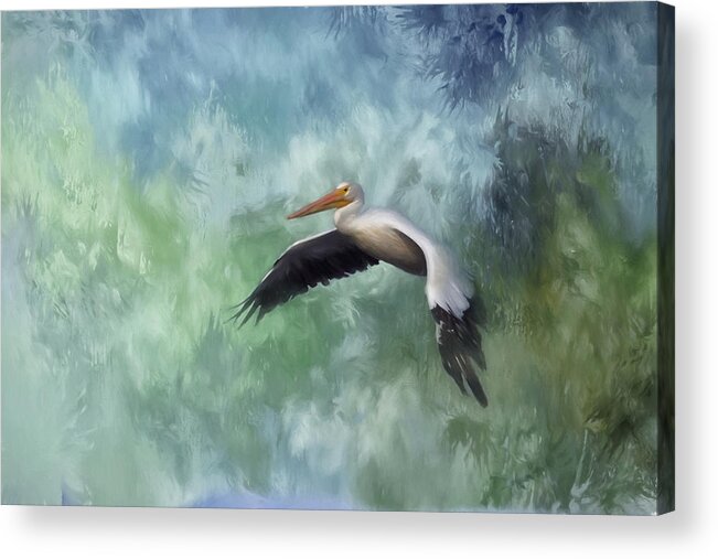 Pelican Acrylic Print featuring the photograph Flight of the White Pelican by Kim Hojnacki