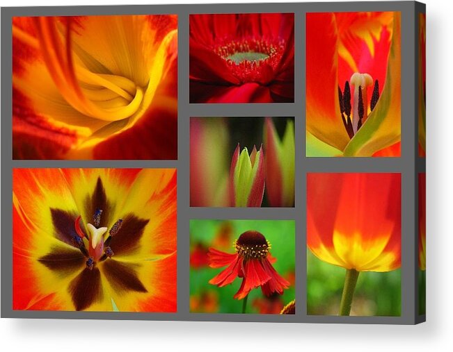 Abstract Acrylic Print featuring the photograph Floral Redzone by Juergen Roth