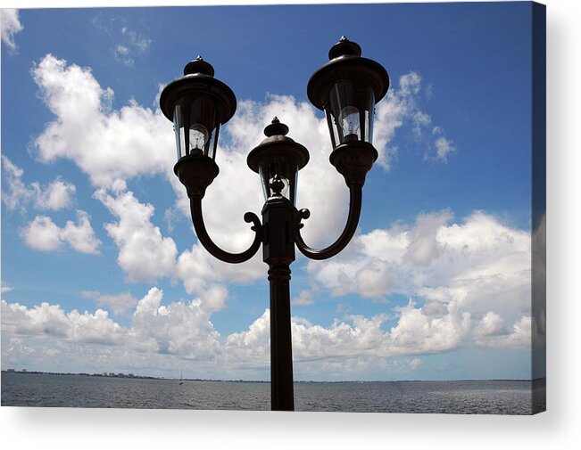 Florida Acrylic Print featuring the photograph Florida by Susanne Van Hulst