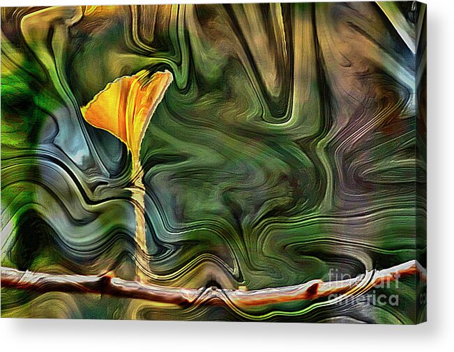 Forest Setting Acrylic Print featuring the photograph Flower Abstract by Jim Corwin