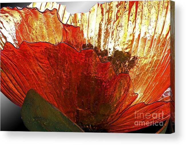 Flower Acrylic Print featuring the photograph Flower of Glass by Tim Hightower