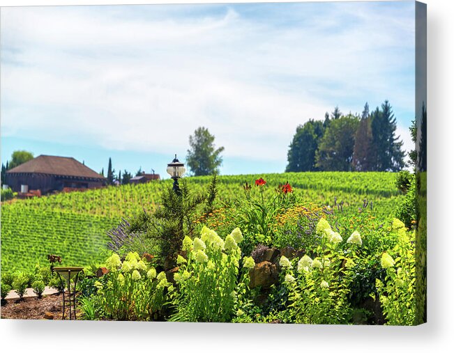 Oregon Acrylic Print featuring the photograph Flowers in Oregon Wine Country by Jess Kraft