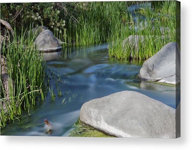 Mission Trails Acrylic Print featuring the photograph Flowing Water by Nicole Swanger