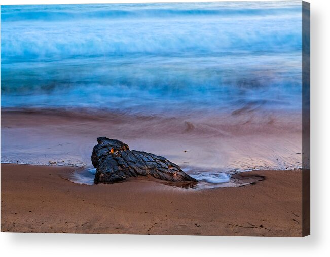 Beach Acrylic Print featuring the photograph Focus by Jason Roberts