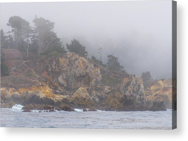 Fog Acrylic Print featuring the photograph Foggy Day at Point Lobos by Derek Dean