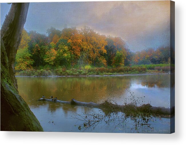 Pond Acrylic Print featuring the photograph Foggy Morning by John Rivera