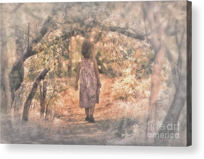 Foggy Morning Walk In The Woods Acrylic Print featuring the digital art Foggy Morning Light by Mary Lou Chmura