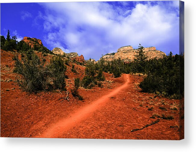 Arizona Acrylic Print featuring the photograph Follow Me by Mark Myhaver