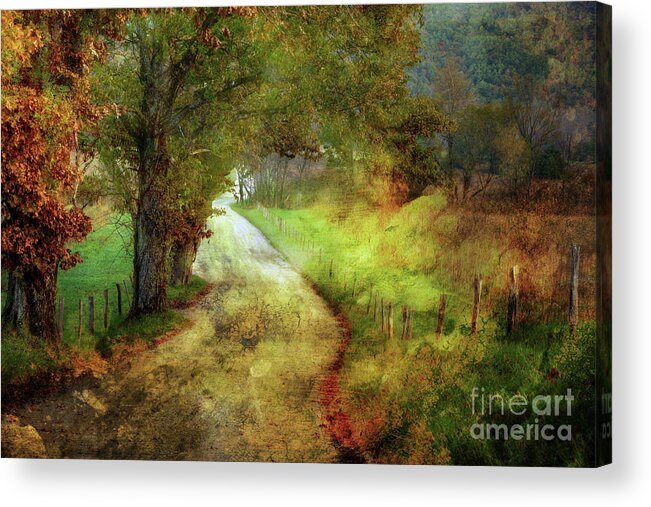 Country Lane Acrylic Print featuring the photograph Following My Vision by Michael Eingle