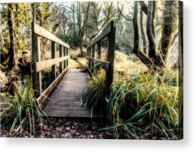 Dimminsdale Acrylic Print featuring the photograph Foot Bridge in Winter by Nick Bywater