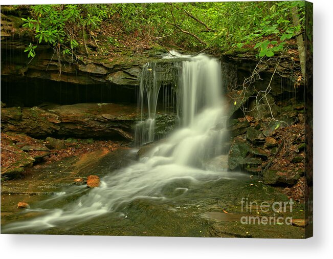 Cave Falls Acrylic Print featuring the photograph Forbes State Forest Cole Run Cave Falls by Adam Jewell