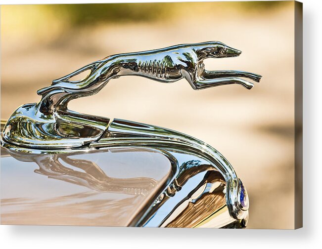 Ford Greyhound Acrylic Print featuring the photograph Ford Lincoln Greyhound Hood Ornament by Jill Reger