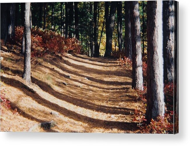 Fall Acrylic Print featuring the photograph Forest Path by Ellen Leigh