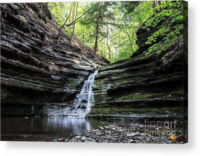 Photography Acrylic Print featuring the photograph Forest Waterfall by MGL Meiklejohn Graphics Licensing