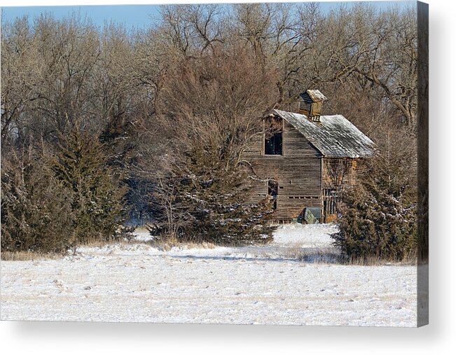 Barns Acrylic Print featuring the photograph Forgotten by Susan Rissi Tregoning