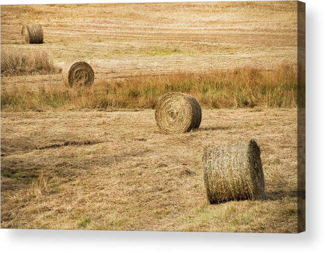 Four Hay Balls Acrylic Print featuring the photograph Four Hay Balls - by Julie Weber