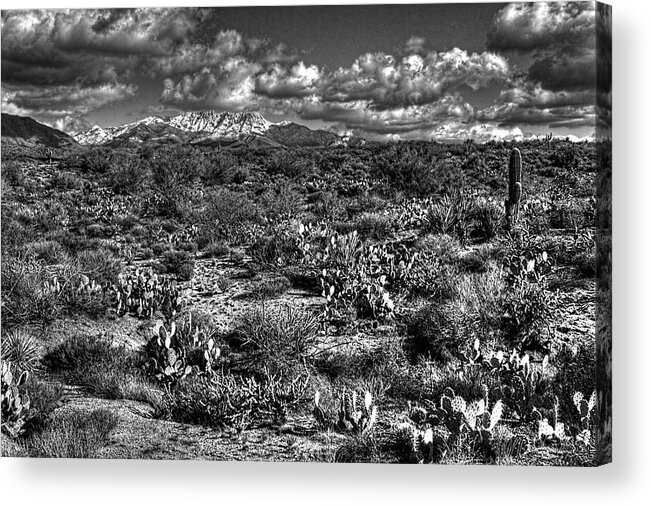 Arizona Acrylic Print featuring the photograph Four Peaks by Roger Passman