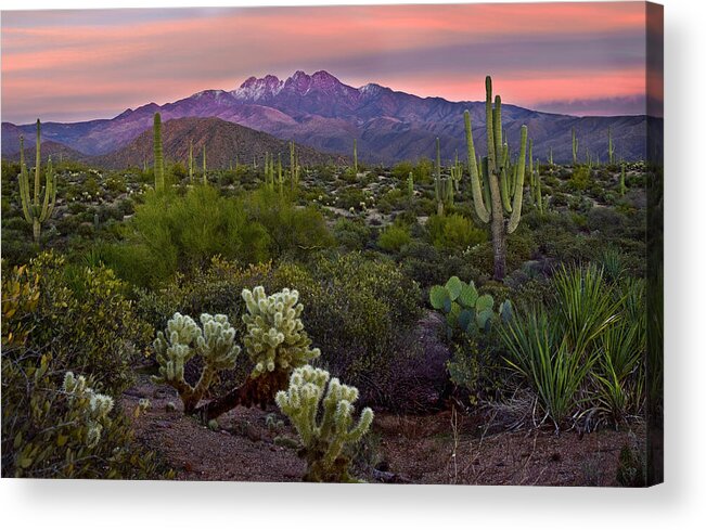 Sunset Phoenix Acrylic Print featuring the photograph Four Peaks Sunset by Dave Dilli